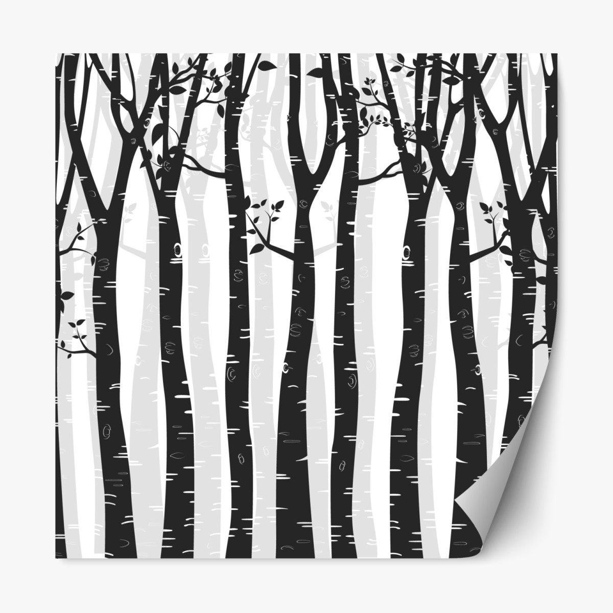 Repositionable sticker monochrome birch forest illustration