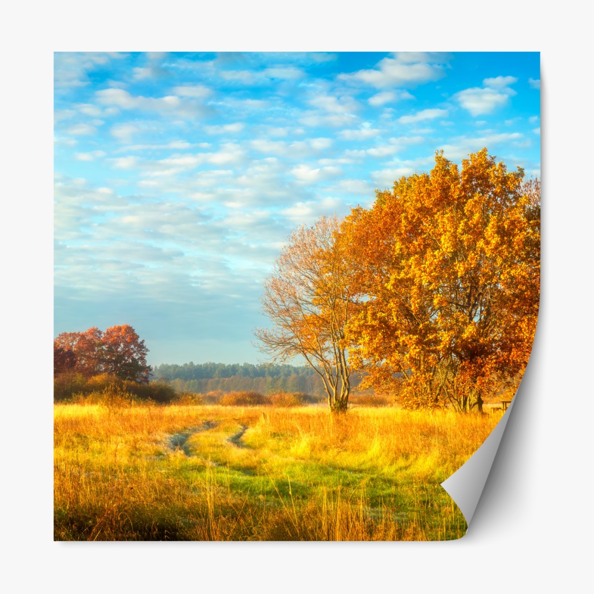 Repositionable sticker golden autumn meadow