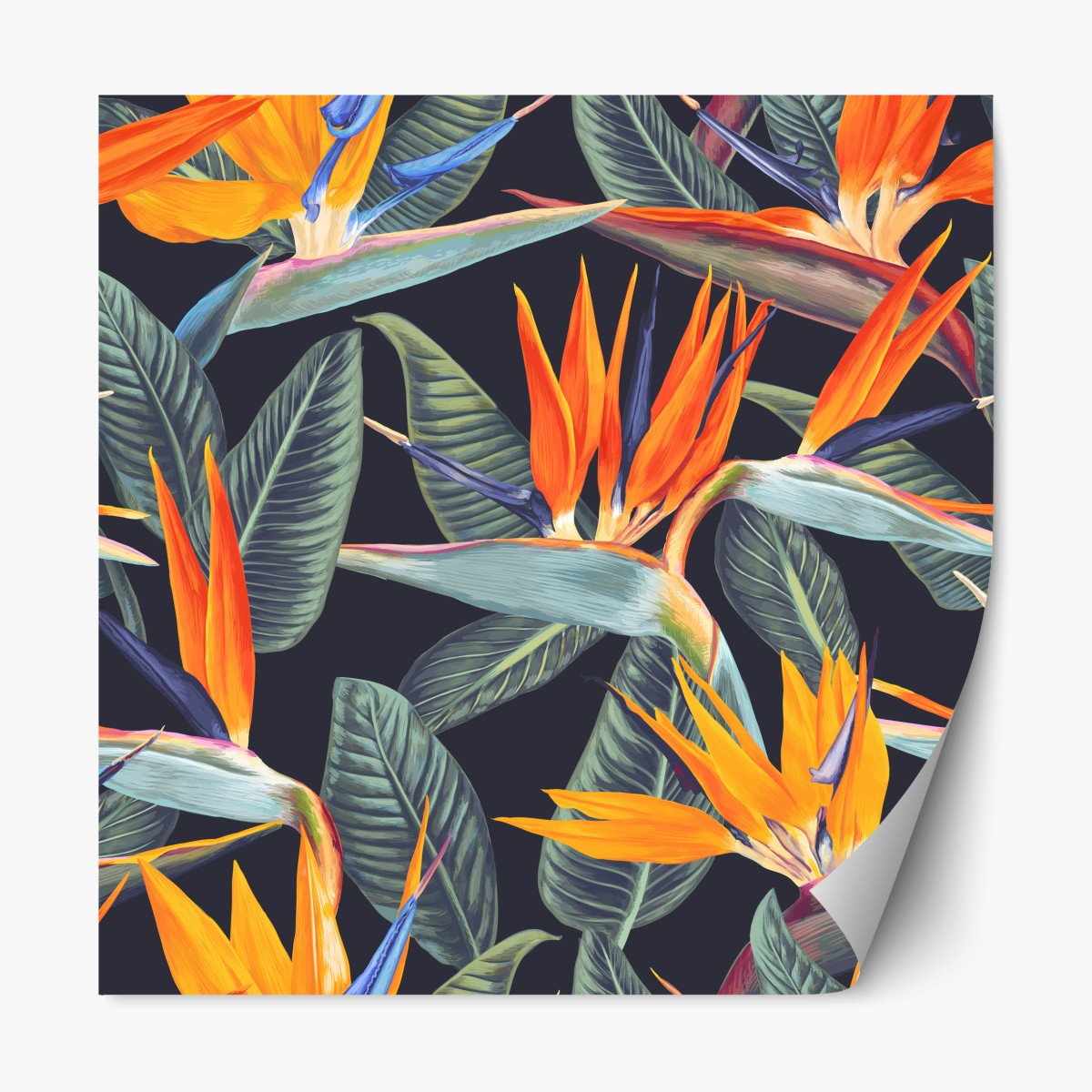 Repositionable sticker tropical bird of paradise floral pattern