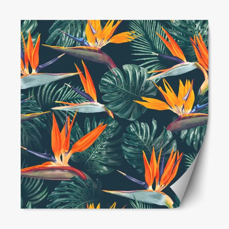 Naklejka repozycjonowalna mglisty las w odcieniach szarości – Wallissimo®