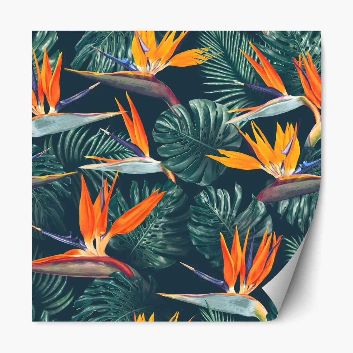 Naklejka repozycjonowalna egzotyczny motyw rajskich ptaków i liści monstery – Wallissimo® Naklejka repozycjonowalna egzotyczny motyw rajskich ptaków i liści monstery – Wallissimo®