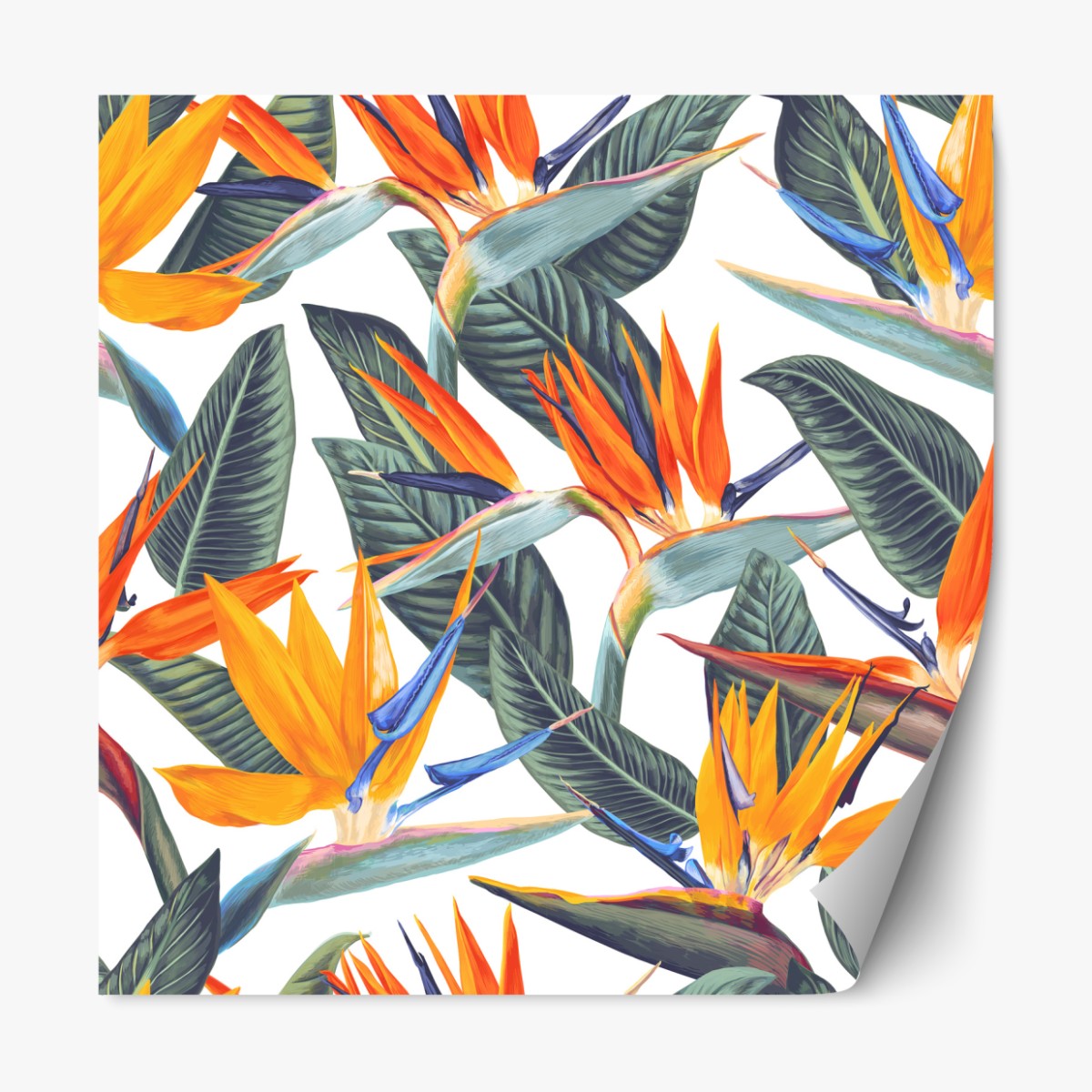 Repositionable sticker tropical bird of paradise botanical pattern