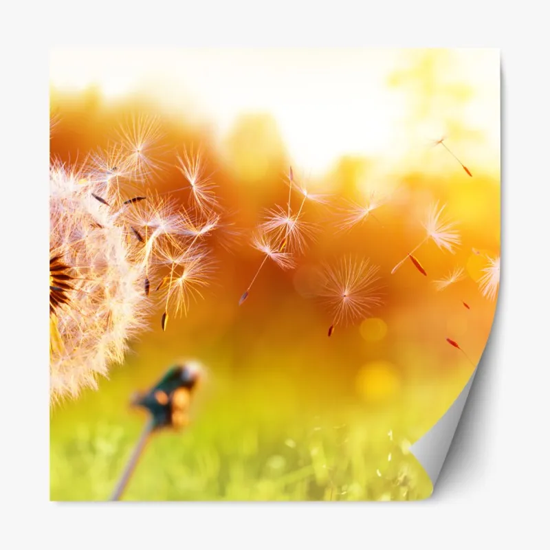 Naklejka repozycjonowalna spokojne alpejskie jezioro – Wallissimo®