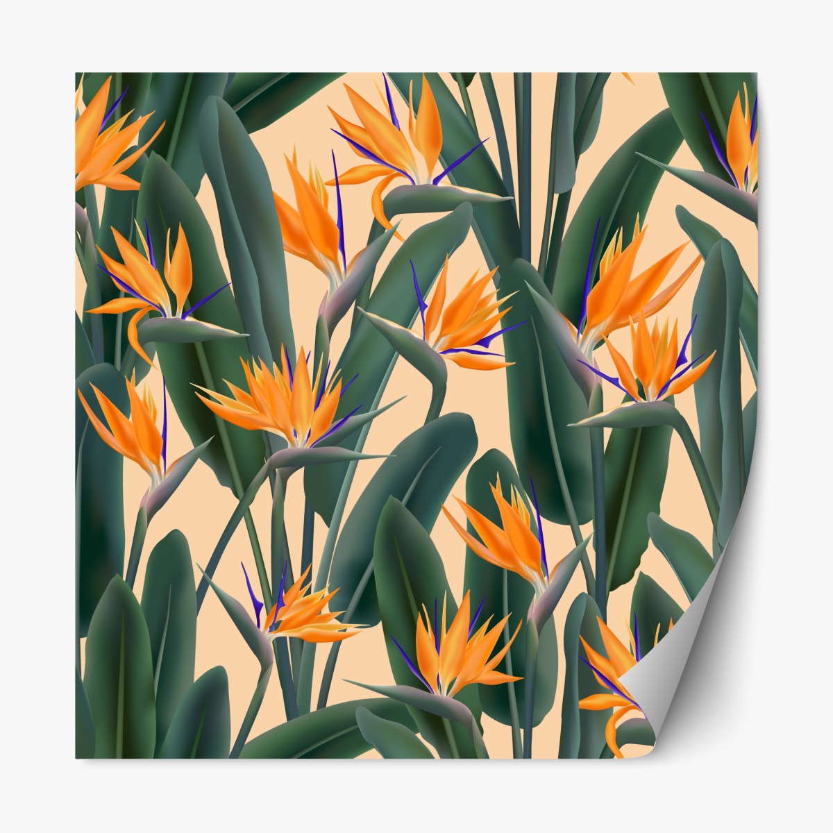 Repositionable sticker tropical bird of paradise floral pattern