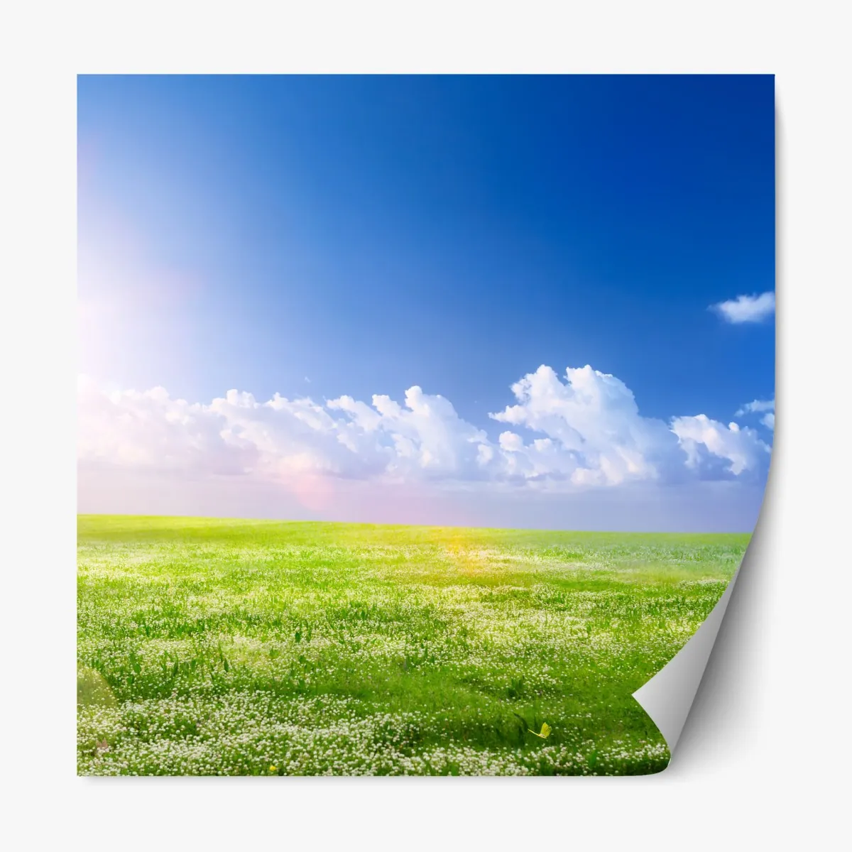 Naklejka repozycjonowalna słoneczna wiosenna łąka pod niebieskim niebem – Wallissimo® Naklejka repozycjonowalna słoneczna wiosenna łąka pod niebieskim niebem – Wallissimo®