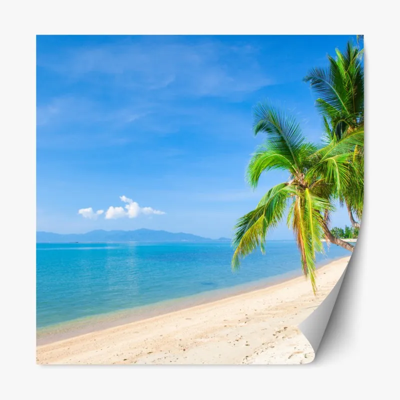 Naklejka repozycjonowalna kozica alpejska na skalistym grzbiecie – Wallissimo®