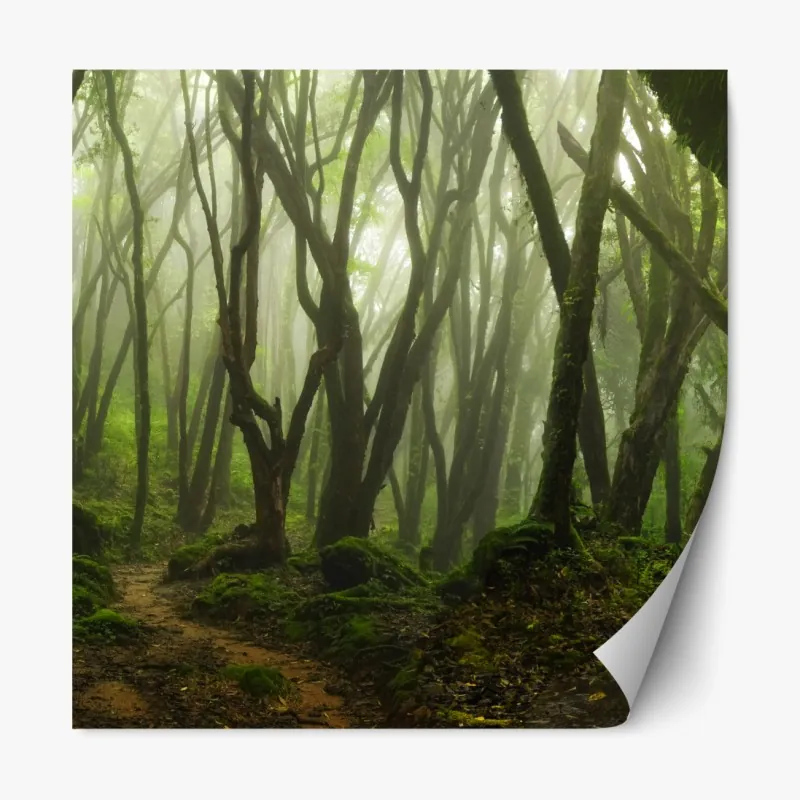 Naklejka repozycjonowalna złote jesienne wzgórza o zachodzie słońca – Wallissimo®