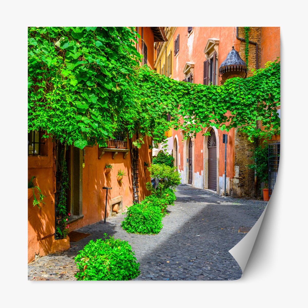 Repositionable sticker charming alley in Trastevere, Rome