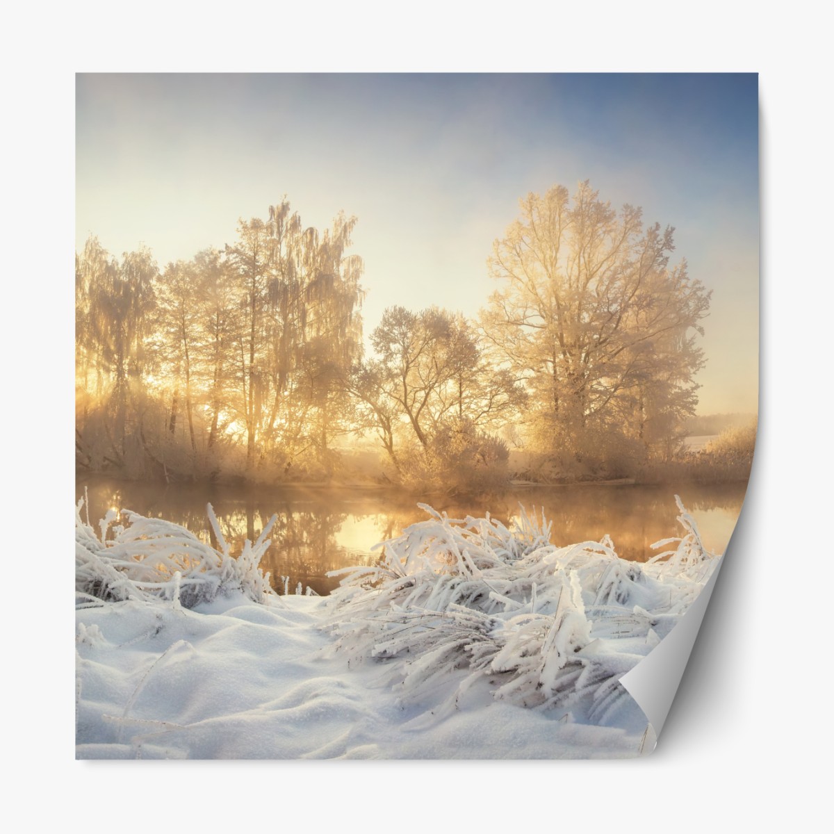 Repositionable sticker golden winter sunrise over frosty river