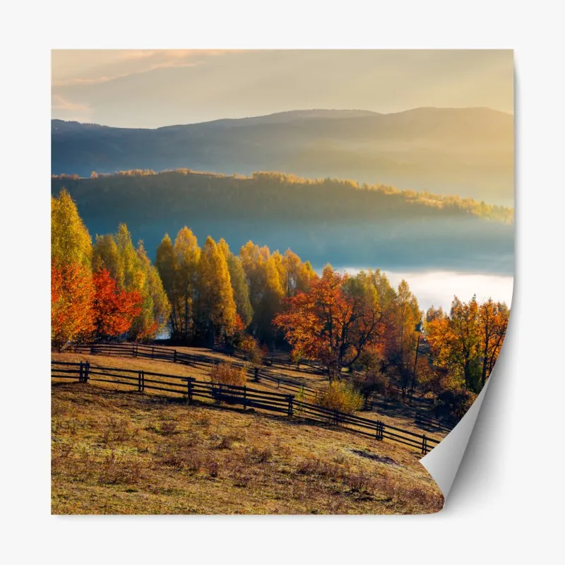 Naklejka repozycjonowalna mglisty jesienny wschód słońca na wsi