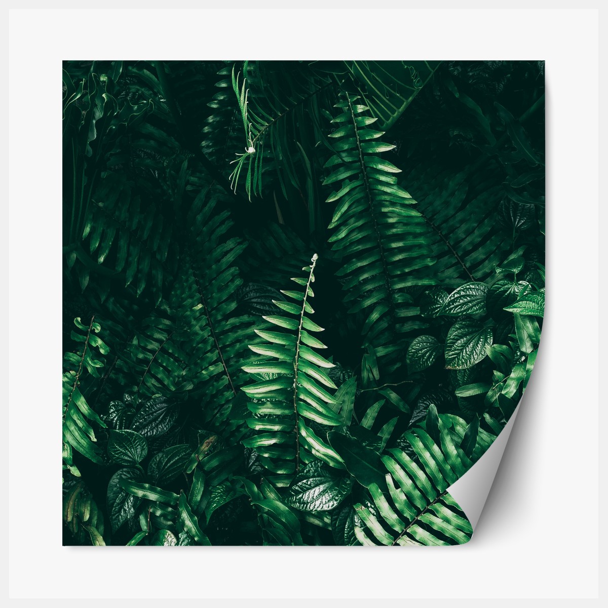 Repositionable sticker tropical green leaves composition