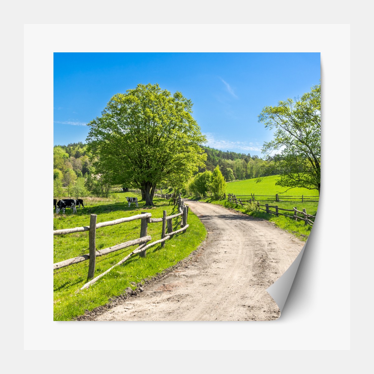 Repositionable sticker sunny country road through green meadows
