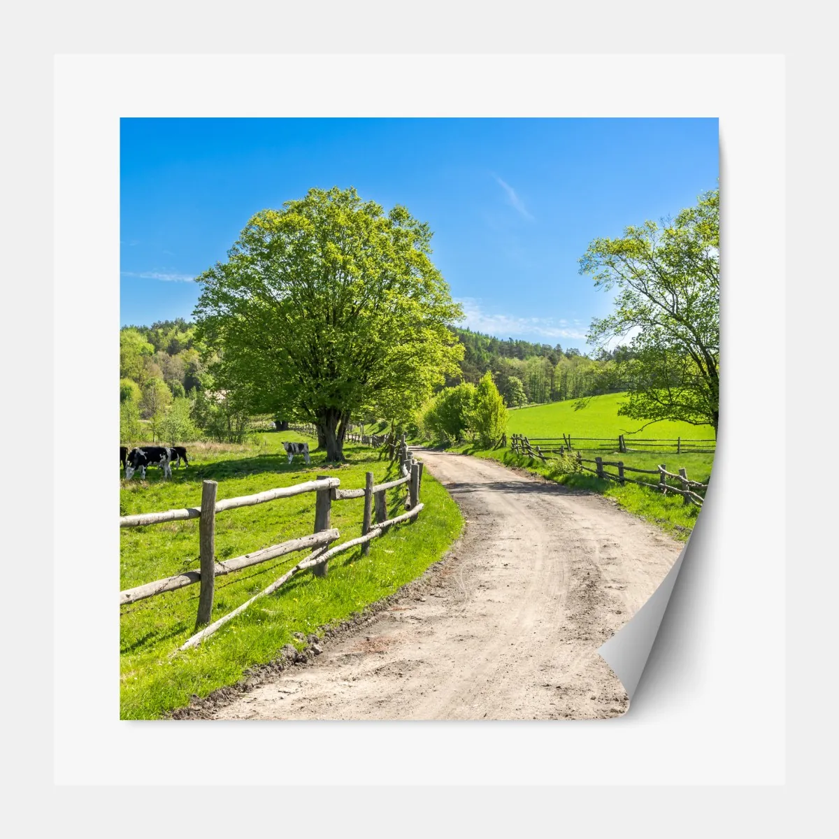 Naklejka repozycjonowalna słoneczna wiejska droga przez zielone łąki – Wallissimo® Naklejka repozycjonowalna słoneczna wiejska droga przez zielone łąki – Wallissimo®