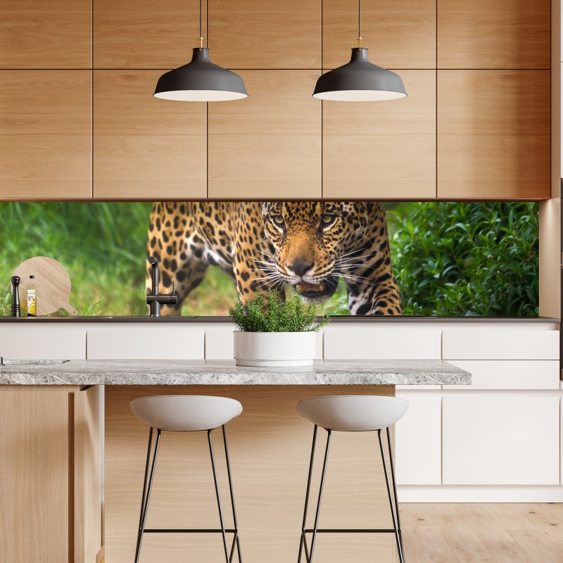 Naklejka repozycjonowalna majestatyczny jaguar w naturze – Wallissimo® Naklejka repozycjonowalna majestatyczny jaguar w naturze – Wallissimo®