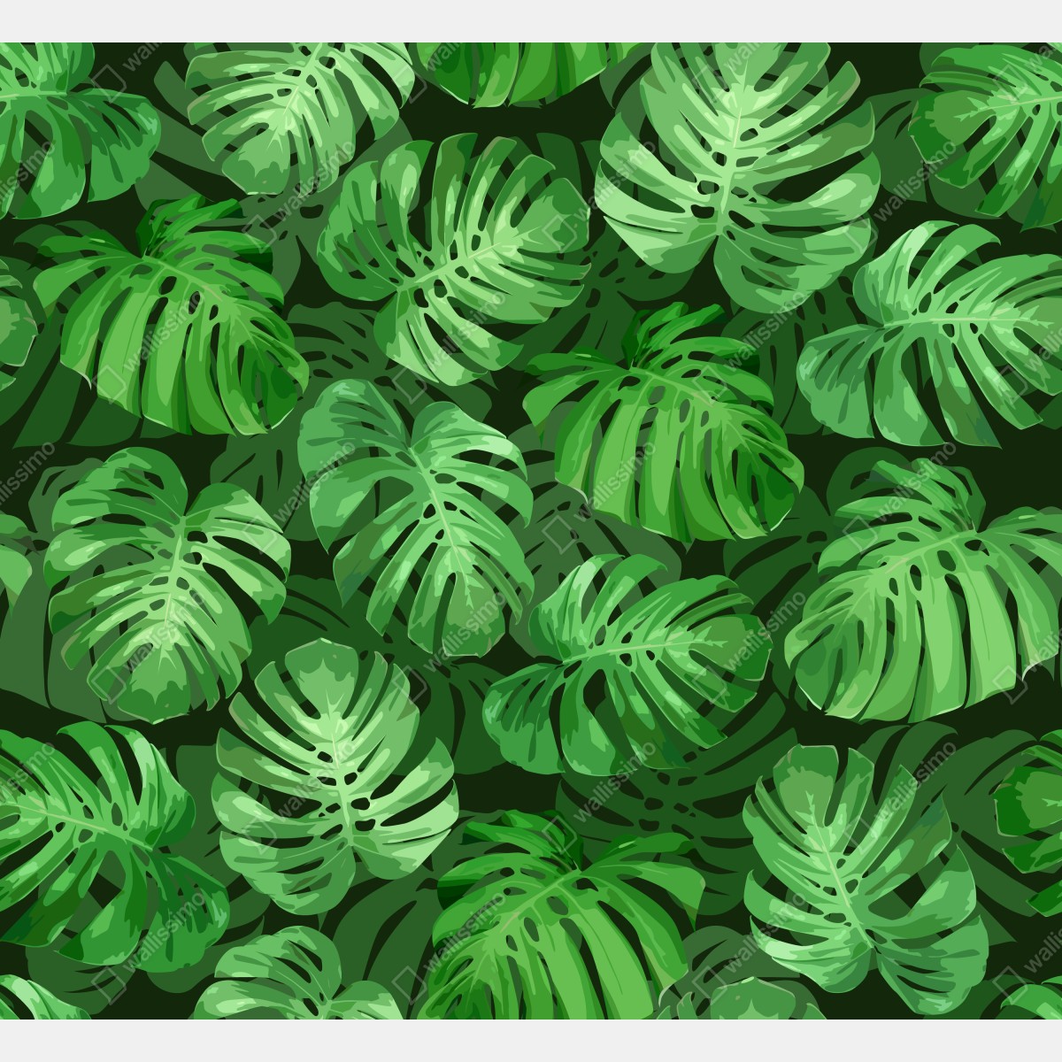 Naklejka repozycjonowalna tropikalny wzór z liśćmi monstery – Wallissimo® Naklejka repozycjonowalna tropikalny wzór z liśćmi monstery – Wallissimo®