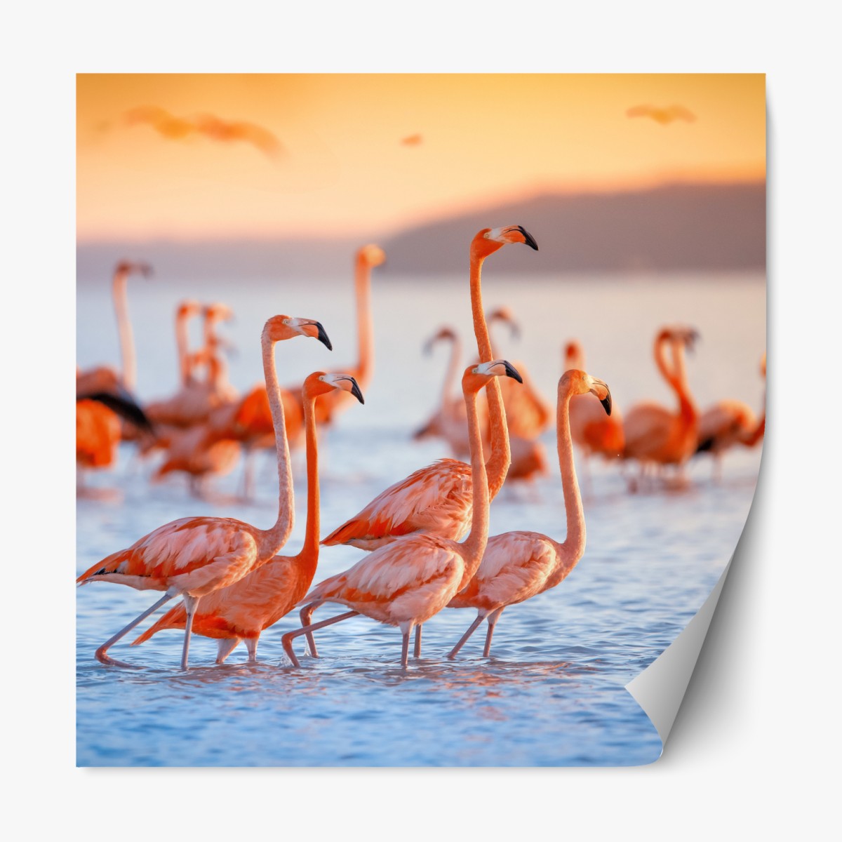 Repositionable sticker pink flamingos at sunset