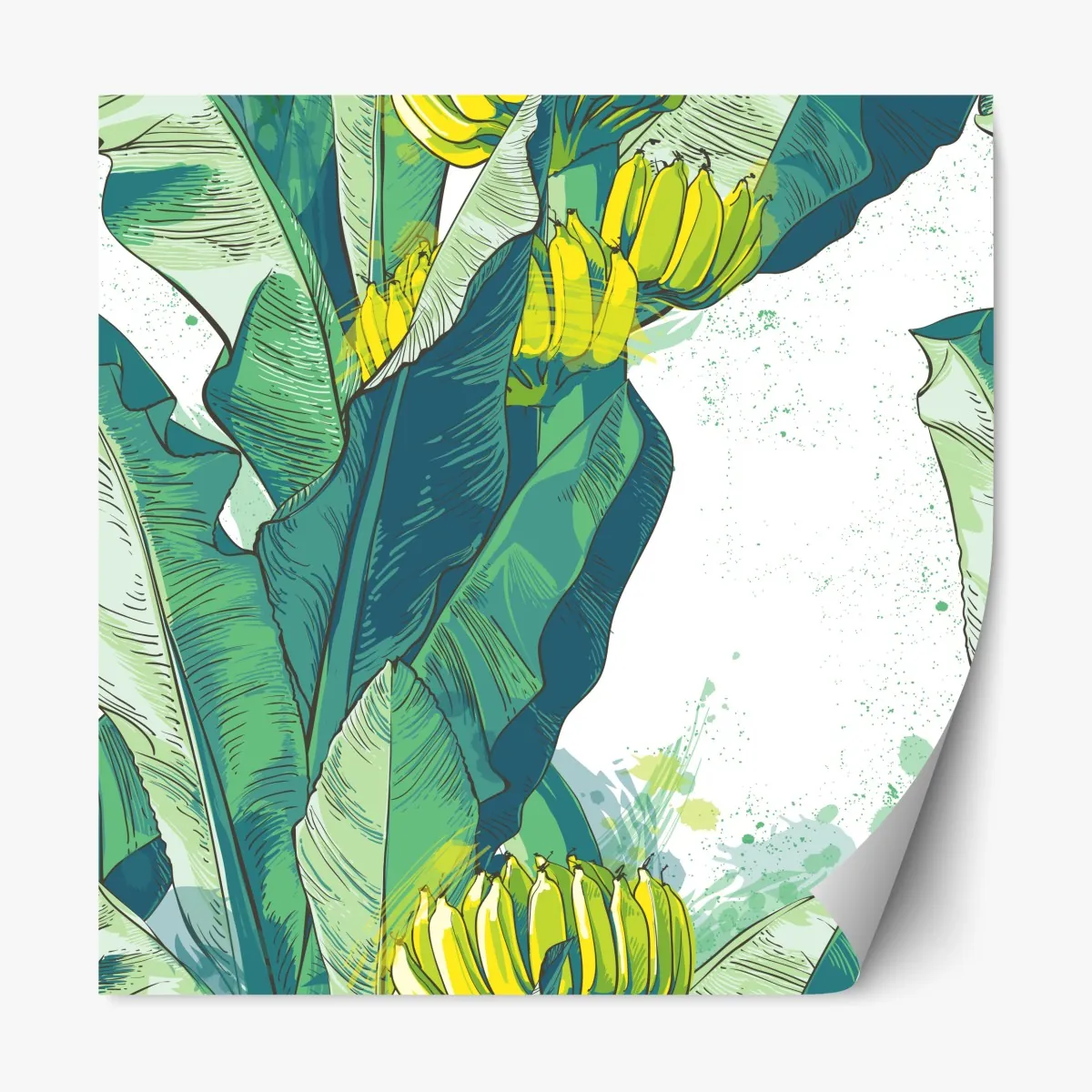 Naklejka repozycjonowalna tropikalna ilustracja liści bananowca – Wallissimo® Naklejka repozycjonowalna tropikalna ilustracja liści bananowca – Wallissimo®
