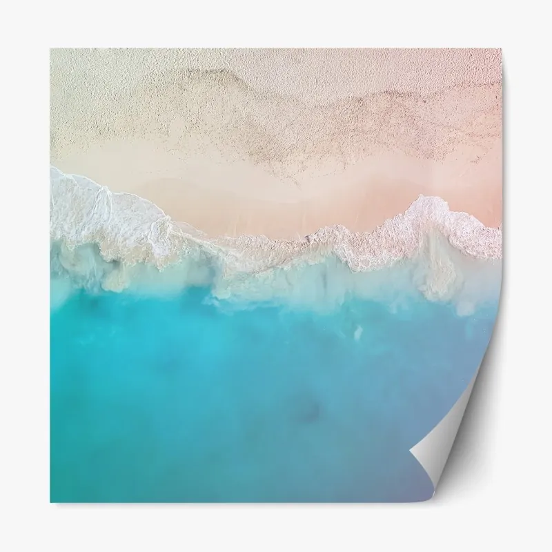 Naklejka repozycjonowalna białe zbliżenie stokrotki na czarnym tle – Wallissimo®