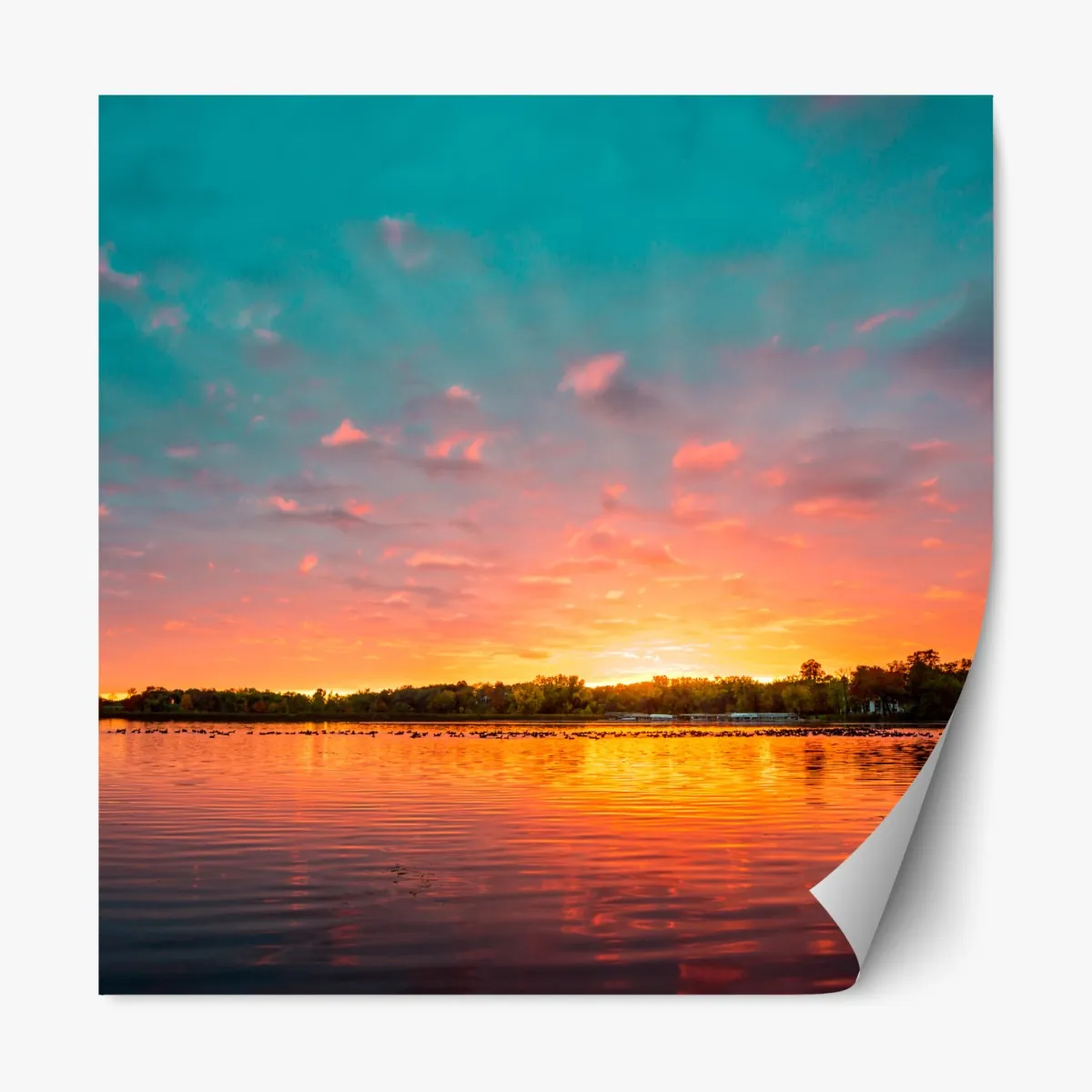 Naklejka repozycjonowalna turkusowy zachód słońca nad spokojnym jeziorem – Wallissimo® Naklejka repozycjonowalna turkusowy zachód słońca nad spokojnym jeziorem – Wallissimo®