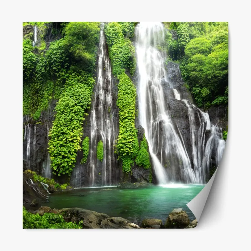 Naklejka repozycjonowalna trzy czerwone tulipany na czarnym tle – Wallissimo®