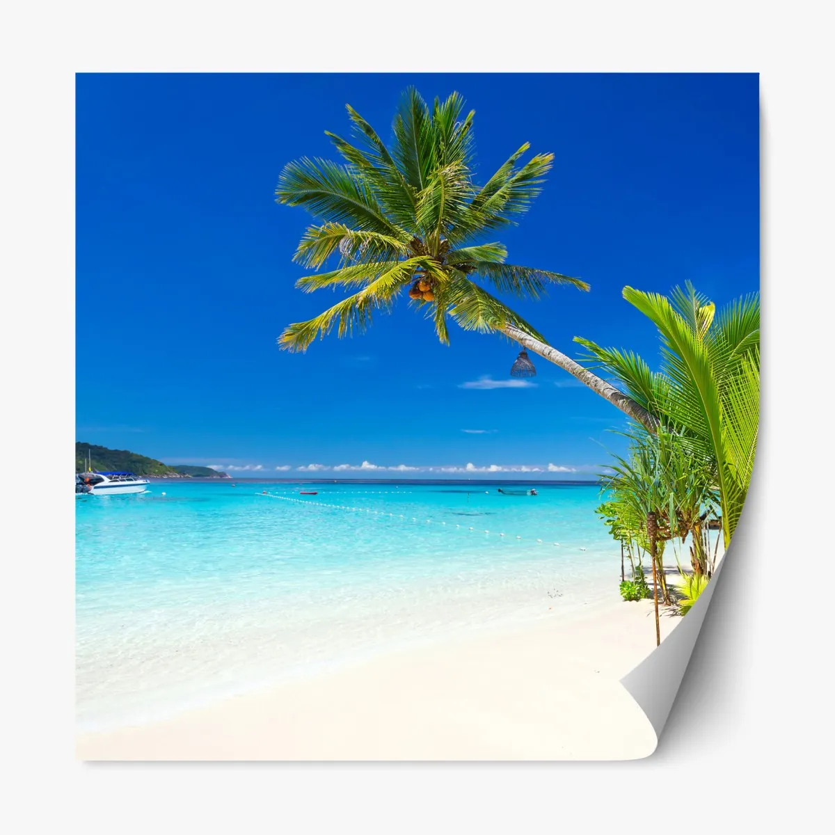 Naklejka repozycjonowalna tropikalna plaża w Tajlandii – Wallissimo® Naklejka repozycjonowalna tropikalna plaża w Tajlandii – Wallissimo®