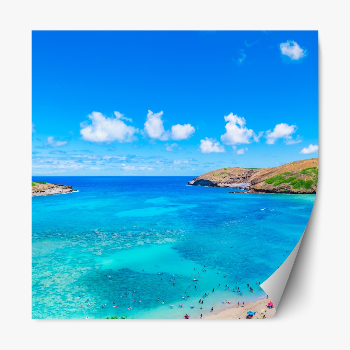 Repositionable sticker tropical turquoise bay panorama
