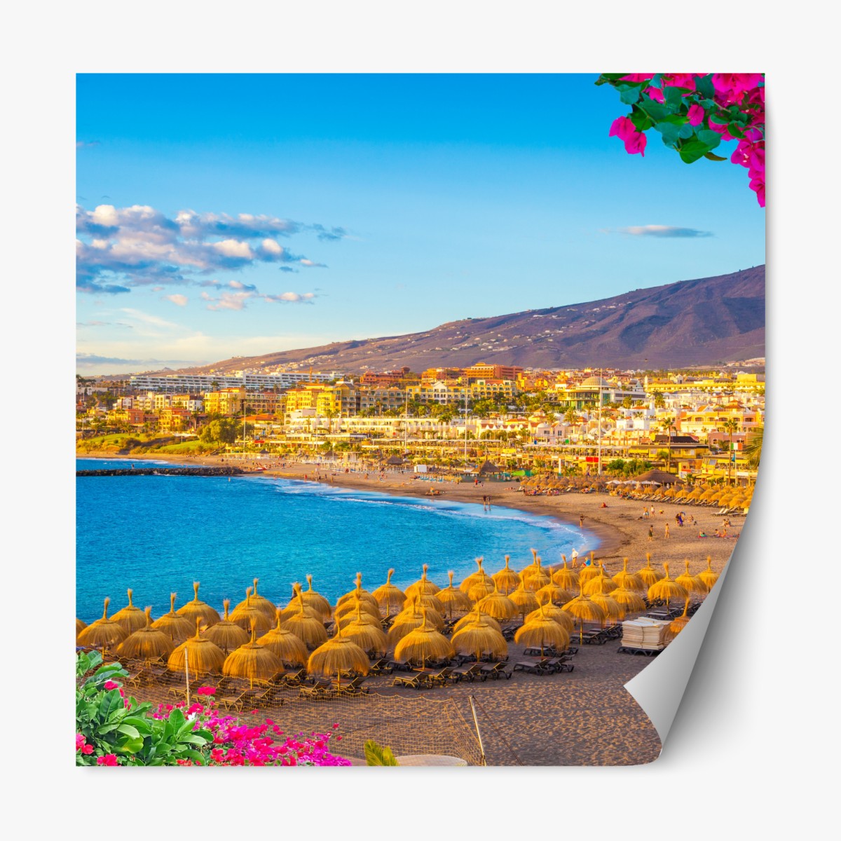 Repositionable sticker sunlit Torviscas beach panorama, Tenerife