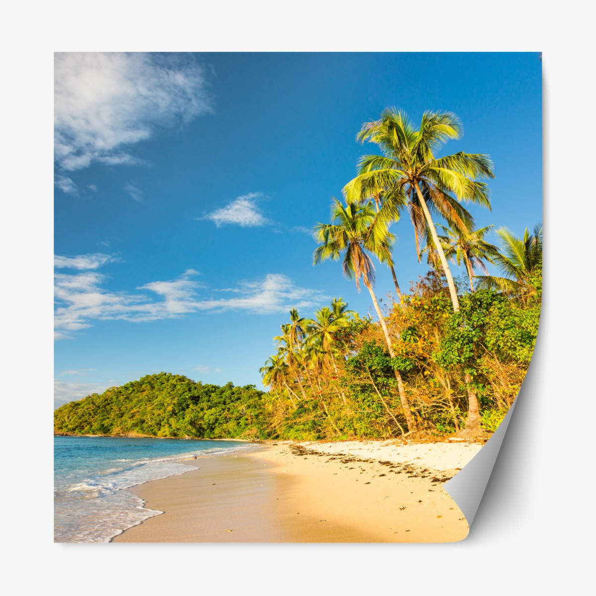 Repositionable sticker golden tropical beach at sunset