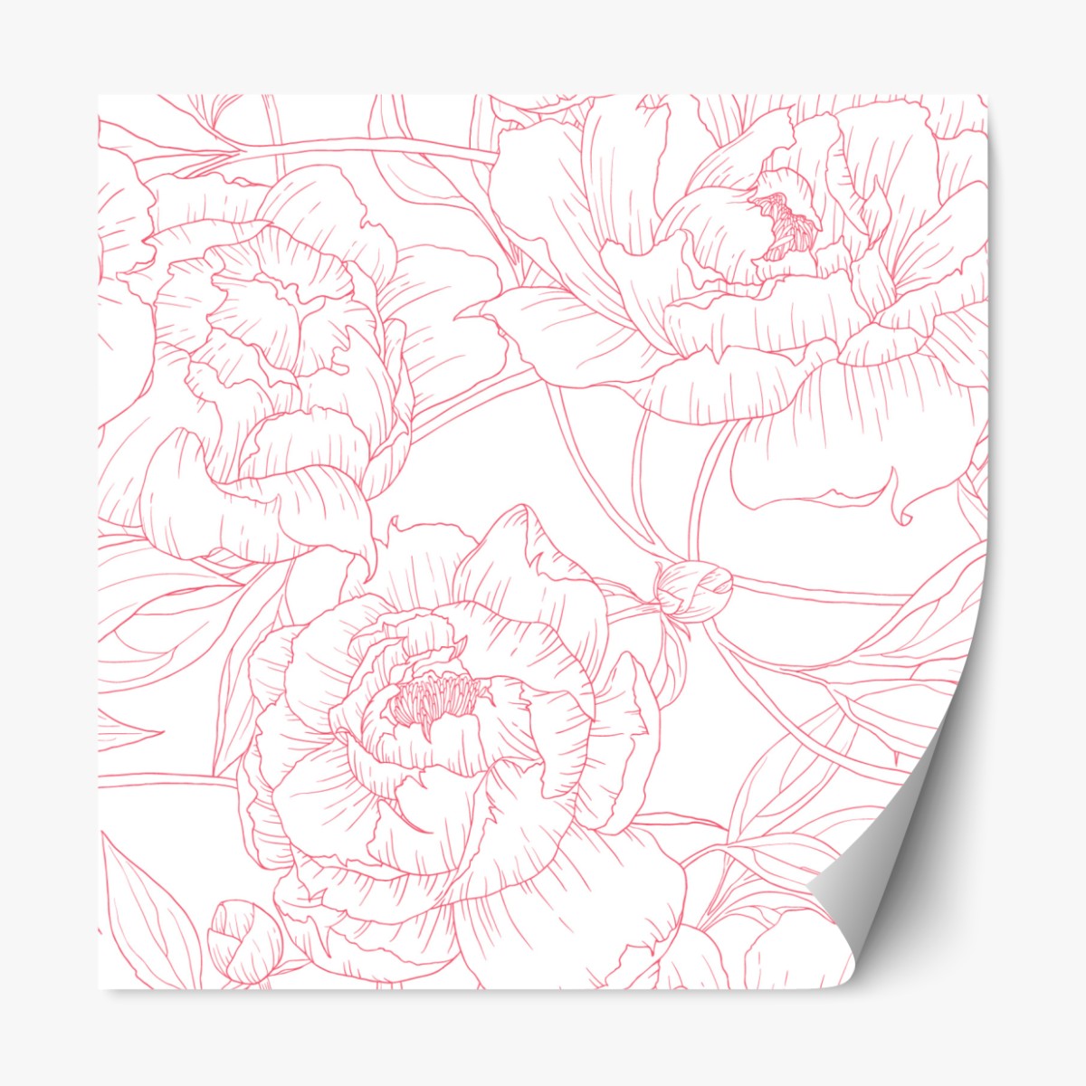 Repositionable sticker delicate pink peony line art pattern