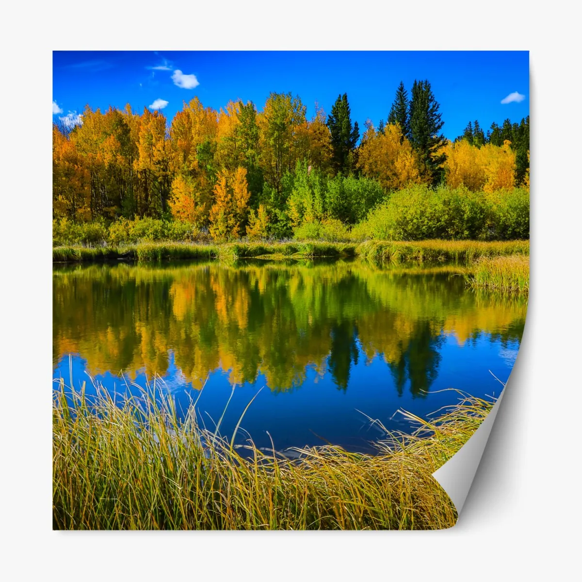 Naklejka repozycjonowalna jesienne drzewa odbite w spokojnym jeziorze – Wallissimo® Naklejka repozycjonowalna jesienne drzewa odbite w spokojnym jeziorze – Wallissimo®