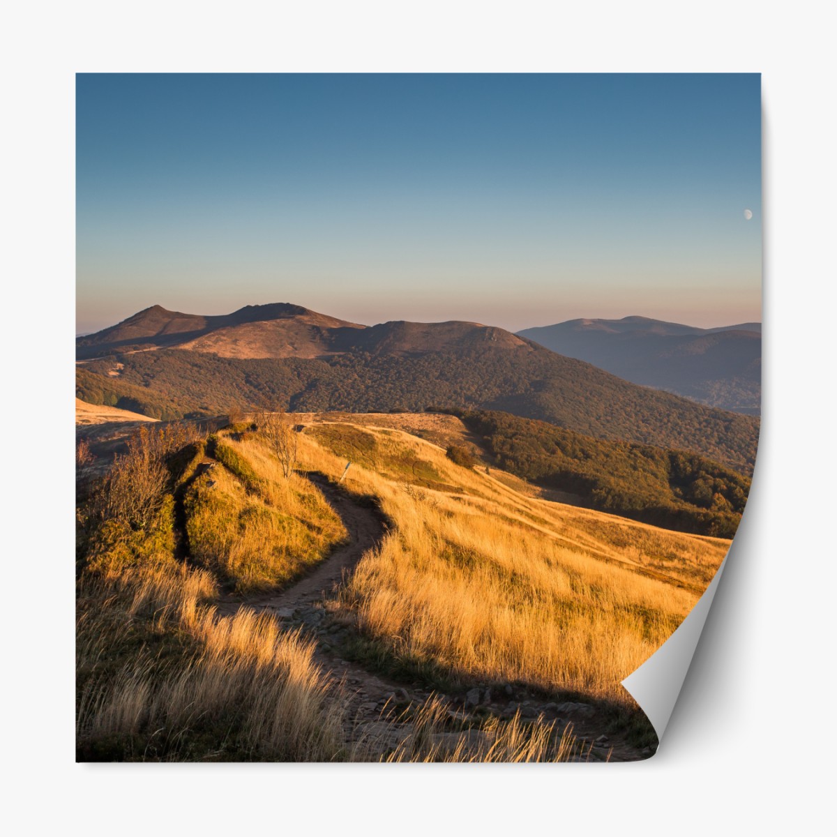 Repositionable sticker golden mountain ridge at sunset