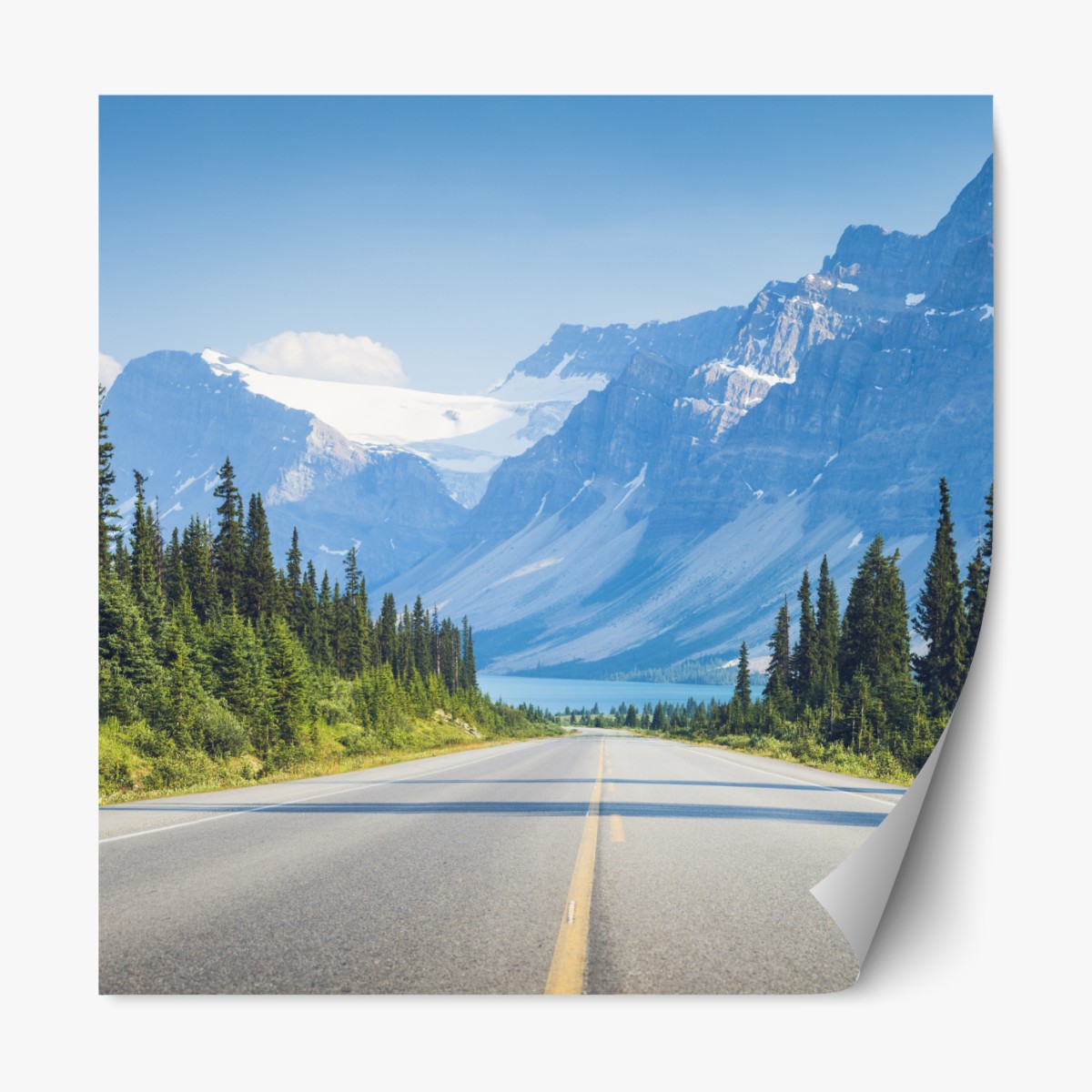 Repositionable sticker road through pine forest to a glacier-fed mountain lake