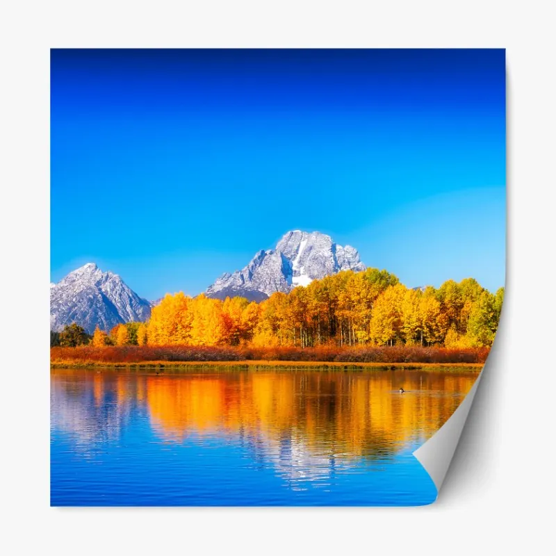 Naklejka repozycjonowalna żywy słonecznik na czarnym tle – Wallissimo®