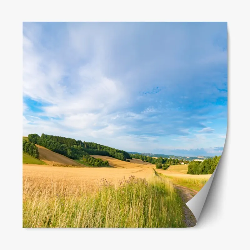 Naklejka repozycjonowalna delikatny akwarelowy wzór z liśćmi eukaliptusa – Wallissimo®