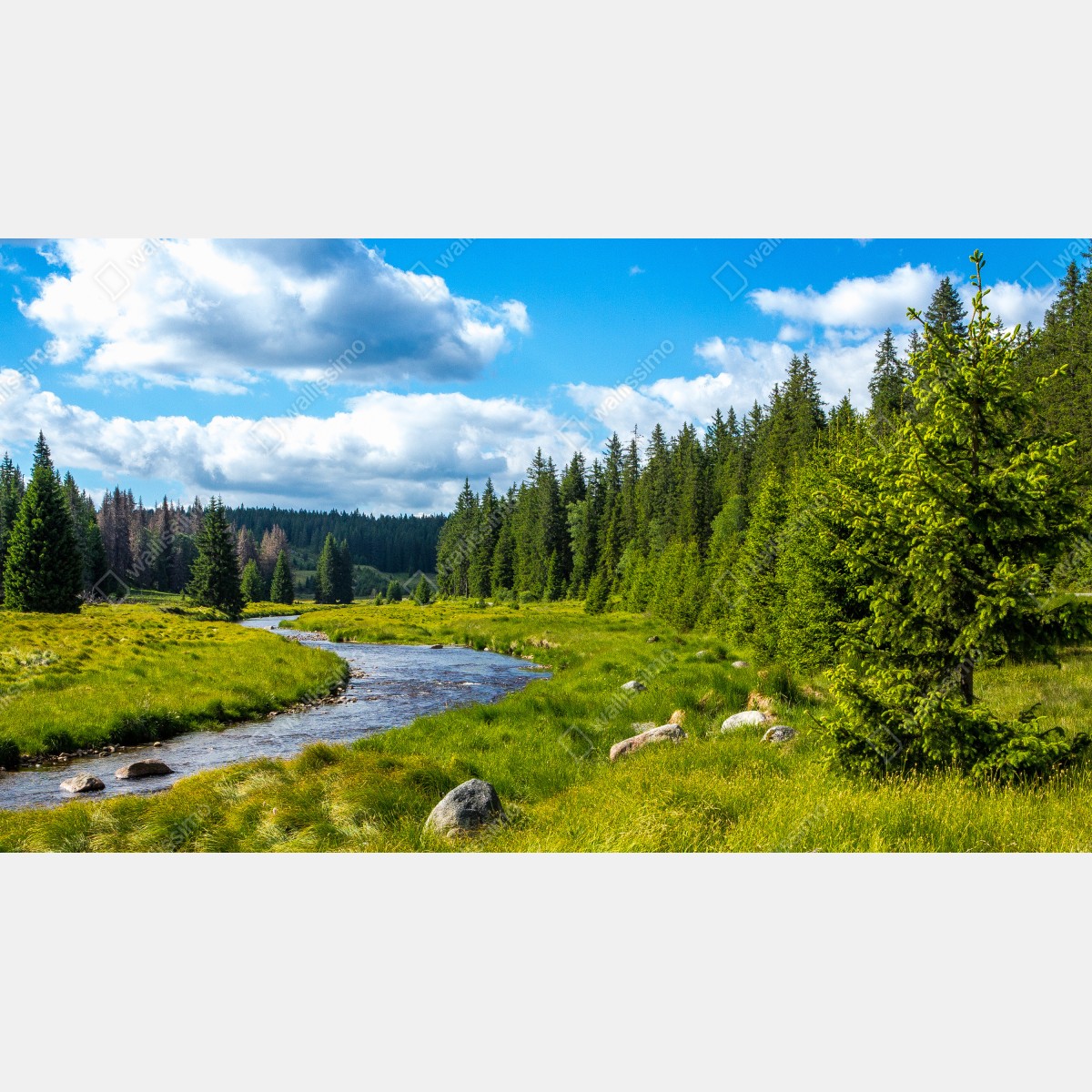 Naklejka repozycjonowalna spokojna rzeka nad łąką – Wallissimo® Naklejka repozycjonowalna spokojna rzeka nad łąką – Wallissimo®