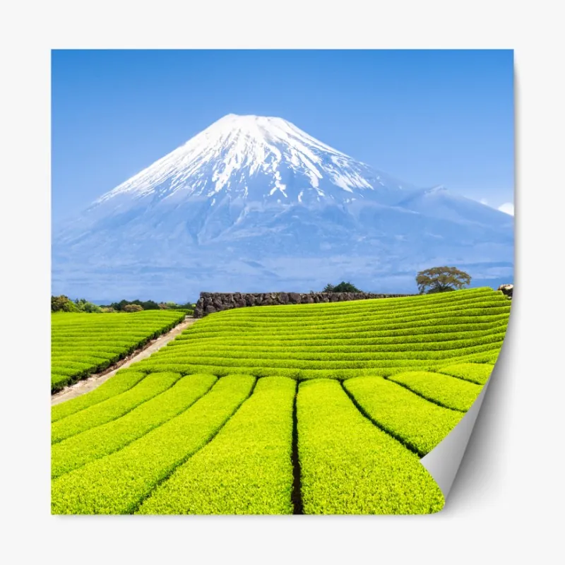 Naklejka repozycjonowalna pastelowy wzór liści miłorzębu ze złotymi akcentami – Wallissimo®