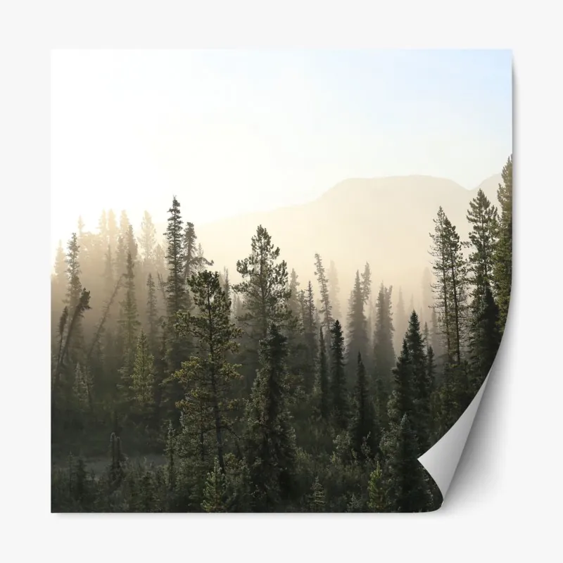 Naklejka repozycjonowalna delikatne nasiona dmuchawca czarno-białe – Wallissimo®