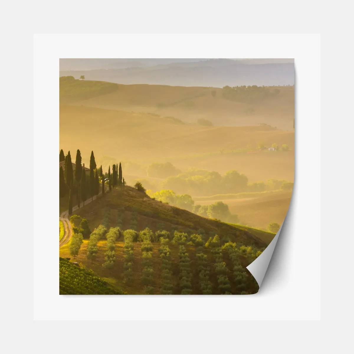 Naklejka repozycjonowalna mglisty poranek nad Val d'Orcia – Wallissimo® Naklejka repozycjonowalna mglisty poranek nad Val d'Orcia – Wallissimo®