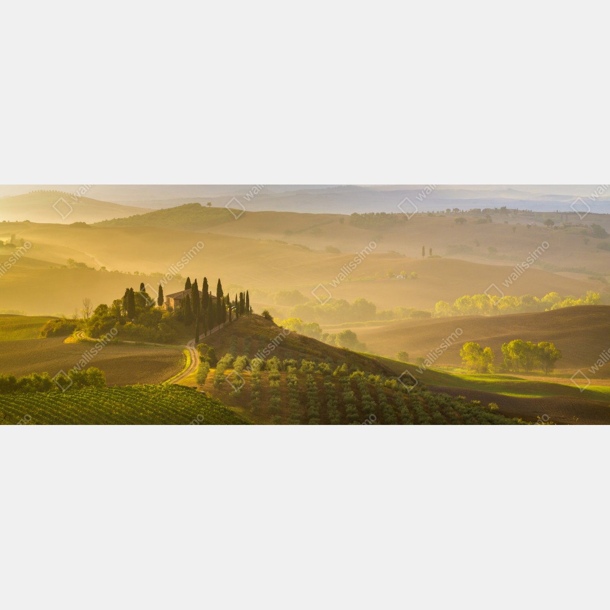 Naklejka repozycjonowalna mglisty poranek nad Val d'Orcia – Wallissimo® Naklejka repozycjonowalna mglisty poranek nad Val d'Orcia – Wallissimo®