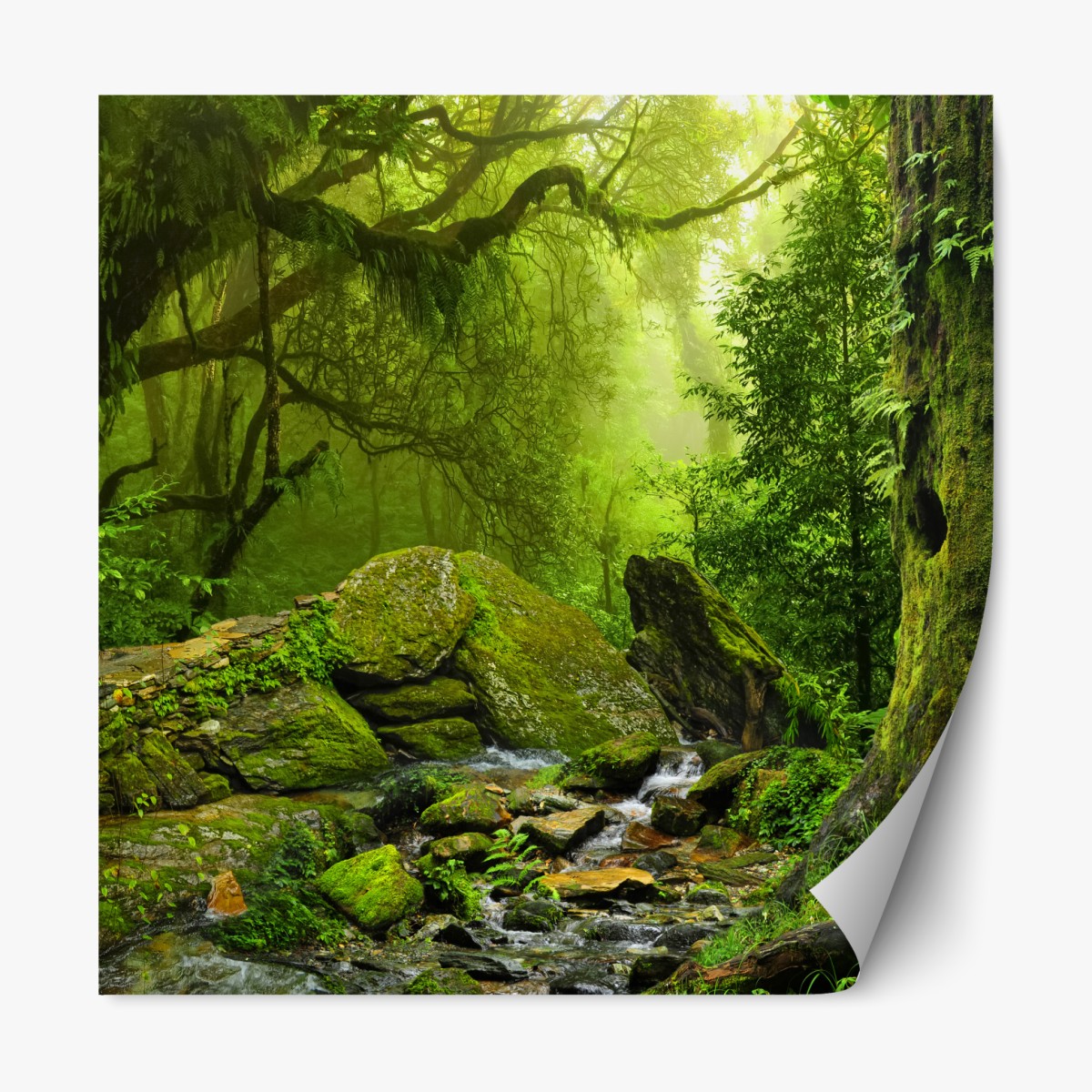 Repositionable sticker moss-covered woodland stream