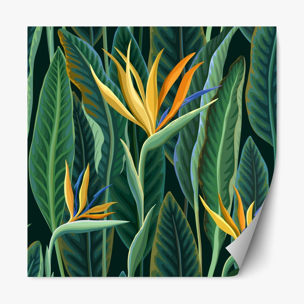 Naklejka repozycjonowalna tropikalna ilustracja strelicji i bujnych liści – Wallissimo® Naklejka repozycjonowalna tropikalna ilustracja strelicji i bujnych liści – Wallissimo®