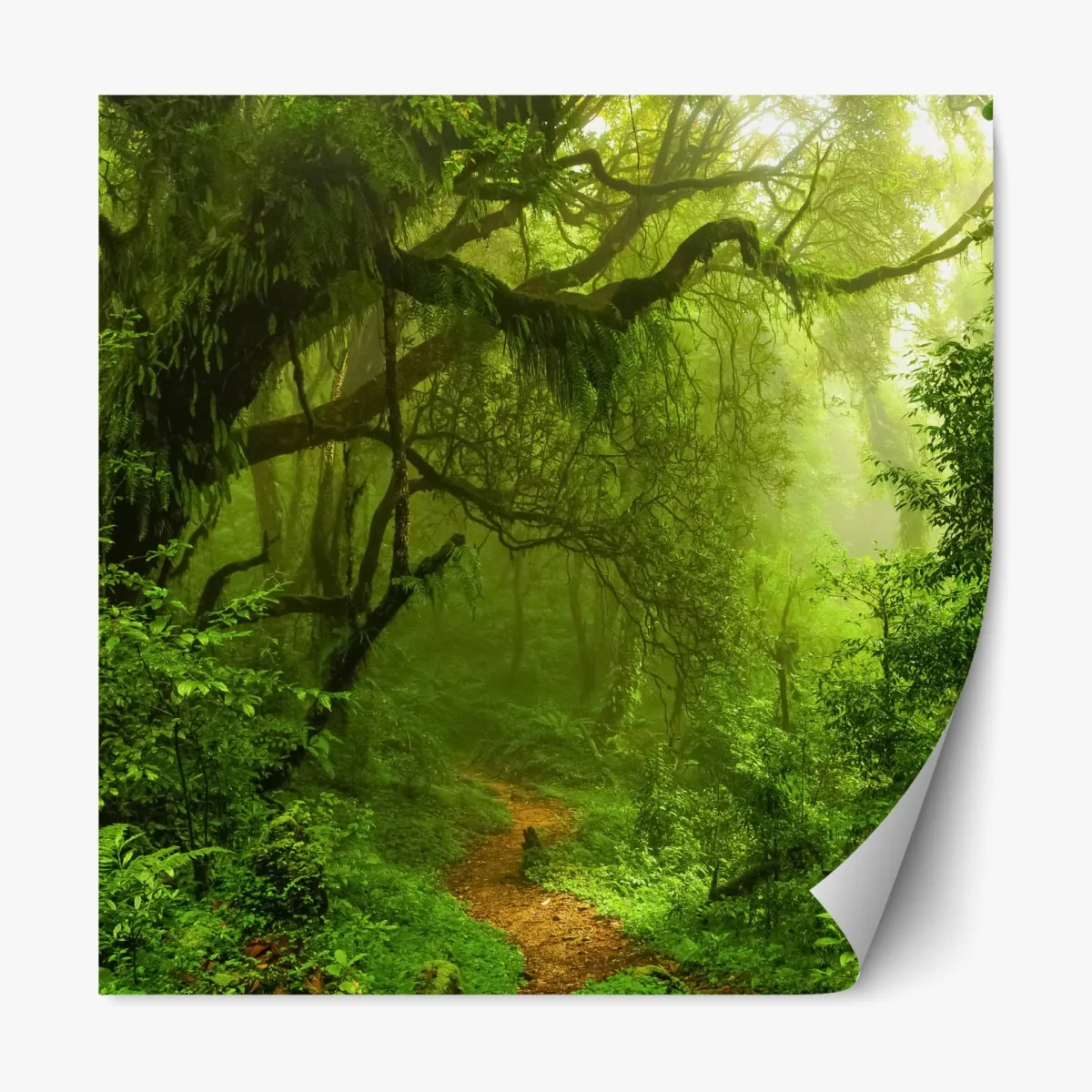 Naklejka repozycjonowalna bujna zielona leśna ścieżka – Wallissimo® Naklejka repozycjonowalna bujna zielona leśna ścieżka – Wallissimo®