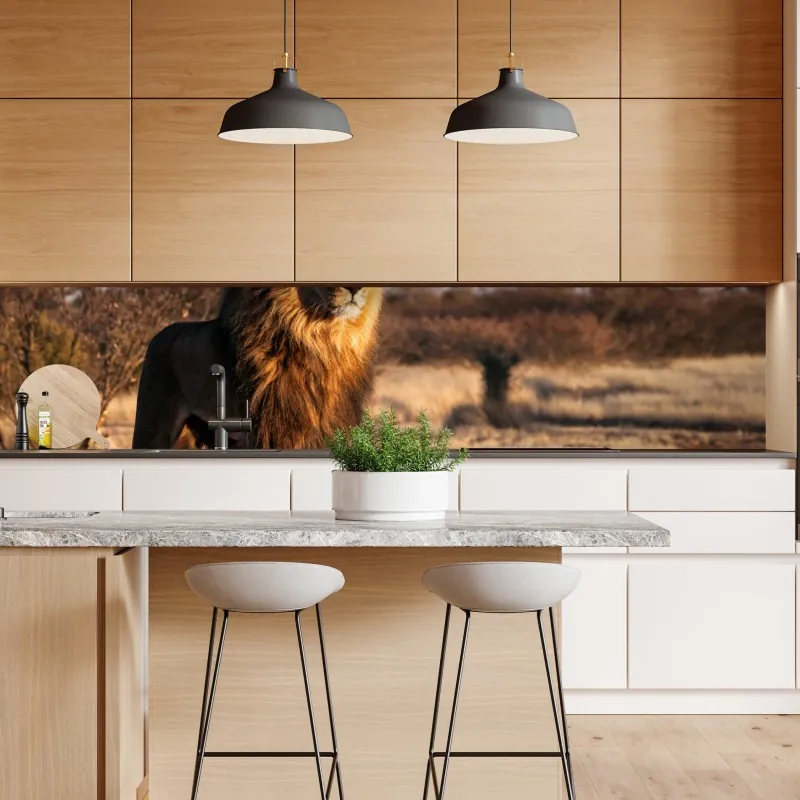 Naklejka repozycjonowalna władczy lew na sawannie – Wallissimo® Naklejka repozycjonowalna władczy lew na sawannie – Wallissimo®