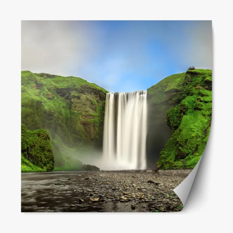 Naklejka repozycjonowalna tropikalny wzór botaniczny z tukanem – Wallissimo®