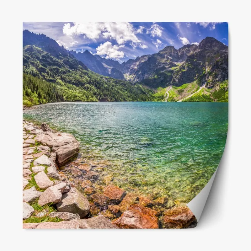 Naklejka repozycjonowalna słoneczna łąka o zachodzie słońca – Wallissimo®