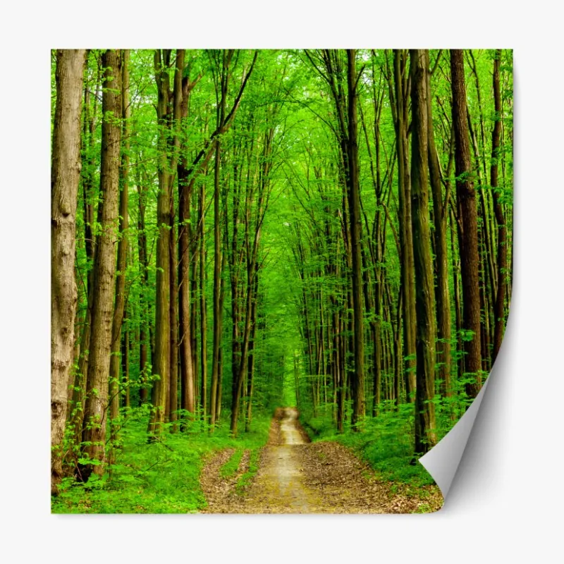 Naklejka repozycjonowalna radosny geometryczny wzór – Wallissimo®