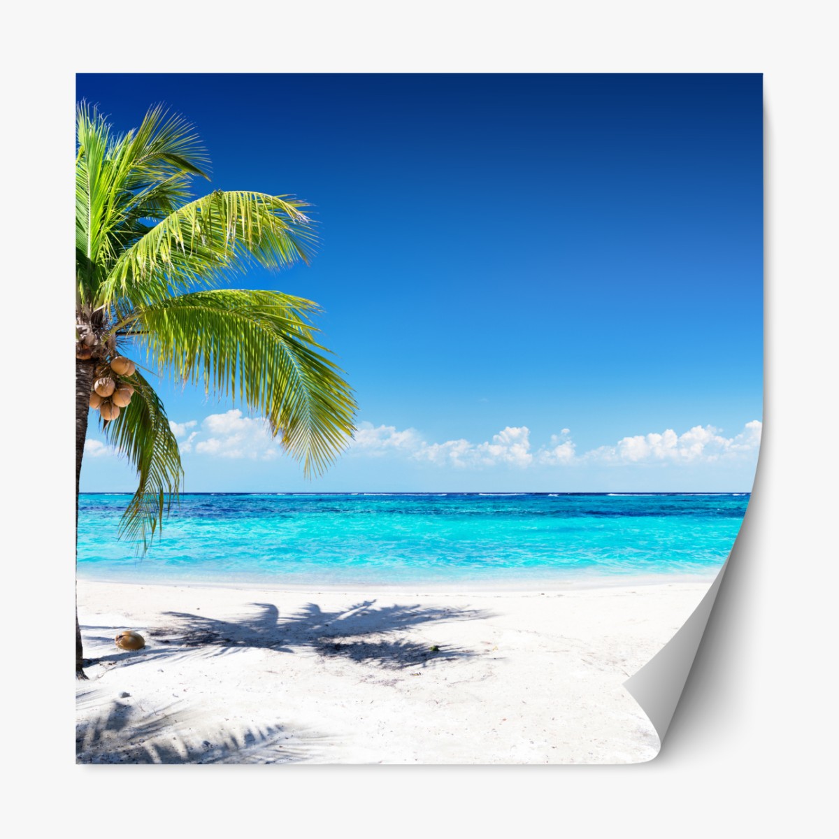 Repositionable sticker tropical palm on a turquoise beach