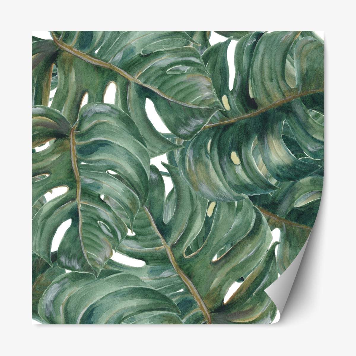 Repositionable sticker lush monstera watercolor leaves