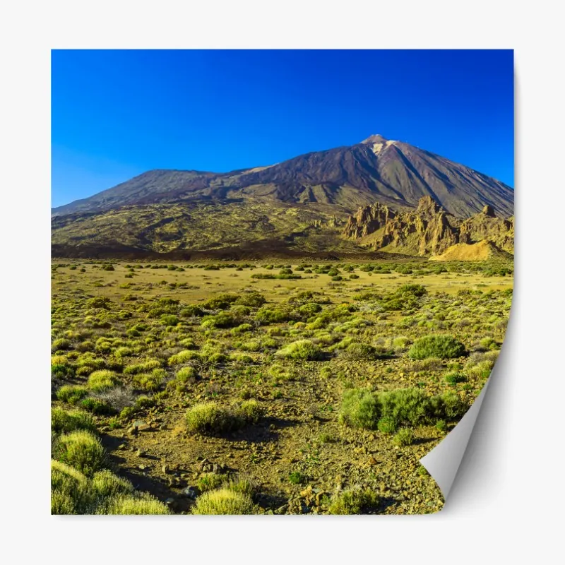 Naklejka repozycjonowalna zebra w monochromatycznych paskach – Wallissimo®