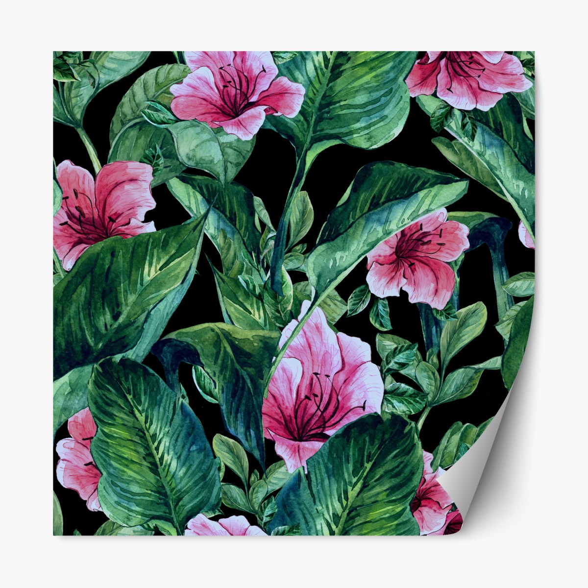 Repositionable sticker pink watercolor blooms on black background